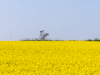 ds_20250429_exkursion-tagebau-garzweiler_070