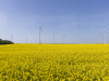 ds_20250429_exkursion-tagebau-garzweiler_076